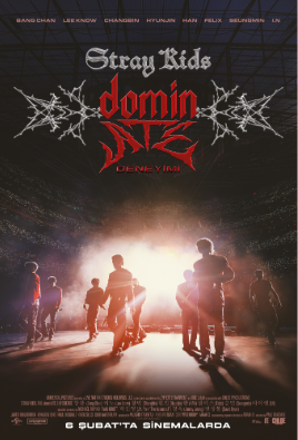 Stray Kıds: The Domınate Experıence